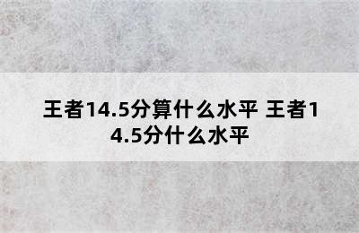 王者14.5分算什么水平 王者14.5分什么水平